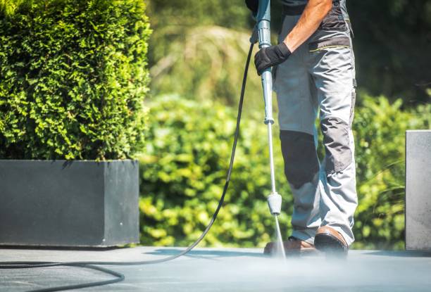 Reliable Port Dickinson, NY Pressure Washing Services Solutions